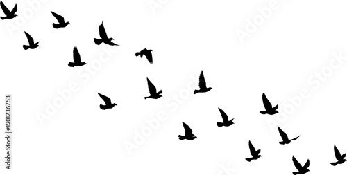 Flying birds silhouettes pattern wallpaper. PNG transparent. isolated bird flying. tattoo design. template for card, package, and wallpaper.