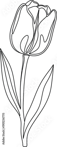 A black and white line drawing of a tulip flower with leaves