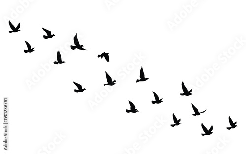 Flying birds silhouettes pattern wallpaper. Vector illustration. isolated bird flying. tattoo design. template for card, package, and wallpaper.