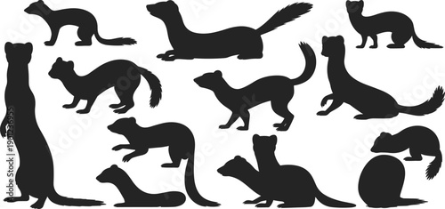 Weasel and ferret silhouettes collection, mustelid mammals in various poses, black animal shapes, minimalist nature icons, isolated on white background