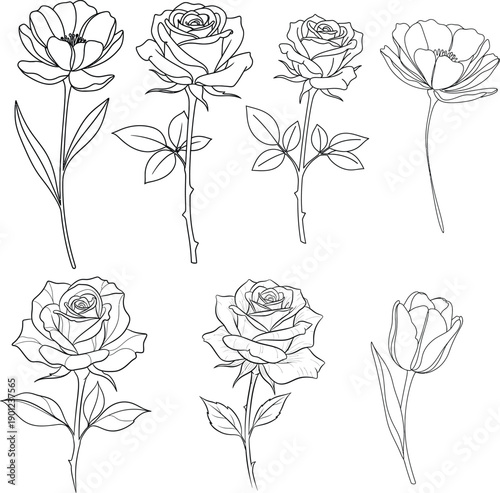 A collection of eight black and white rose illustrations with leaves and stems
