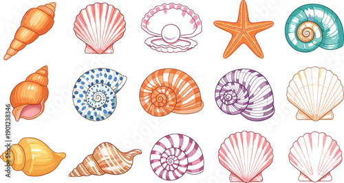 Colorful Seashell and Starfish Illustration Set with Tropical Ocean Marine Shell Shapes for Beach Summer and Coastal Designs