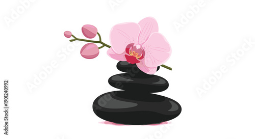 Elegant Pink Orchid Flower with Buds on a Stack of Polished Black Spa Stones for Serenity