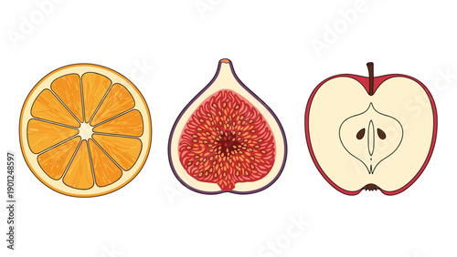 Cross-section views of an orange and apple and fig showing inner seeds and pulp for culinary and botanical educational diagrams.