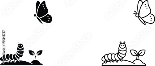 A caterpillar transforms into a beautiful butterfly in a natural process