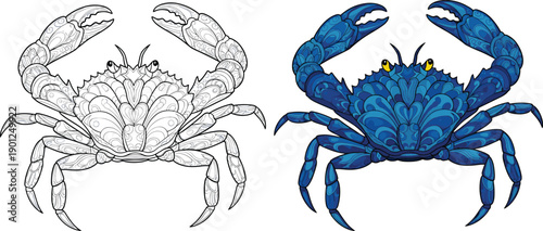 Blue crab with yellow eyes and detailed shell patterns side by side with black and white line version