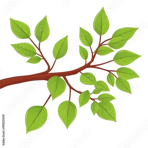 leaves, leaf, green, nature, plant, foliage, botanical, garden, natural, fresh, eco, organic, growth, spring, summer, greenery, flora, tropical, decorative, design, illustration, vector, graphic, icon