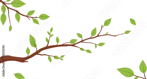 leaves, leaf, green, nature, plant, foliage, botanical, garden, natural, fresh, eco, organic, growth, spring, summer, greenery, flora, tropical, decorative, design, illustration, vector, graphic, icon
