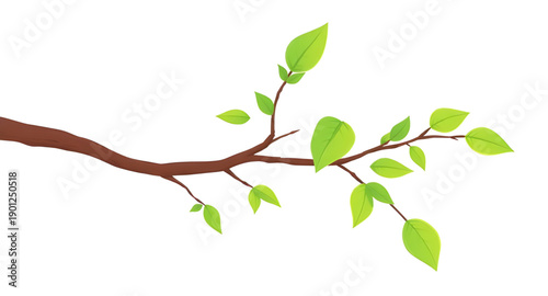 leaves, leaf, green, nature, plant, foliage, botanical, natural, fresh, eco, organic, environment, growth, greenery, flora, herbal, decorative, design, illustration, vector, graphic, icon, symbol, ele