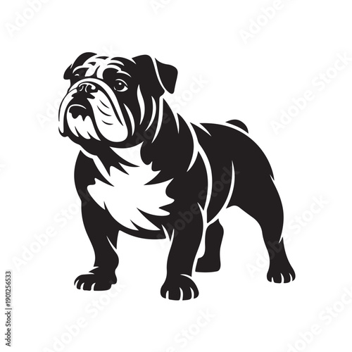 English bulldog silhouette standing in muscular pose with detailed fur patterns and face