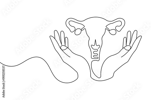 Womans uterus one line art minimalist reproductive organ outline isolated vector