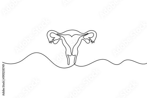 Womans uterus one line art minimalist reproductive organ outline isolated vector
