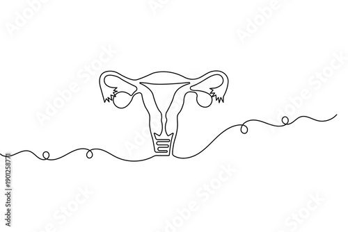 Womans uterus one line art minimalist reproductive organ outline isolated vector
