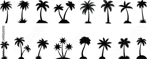Palm tree silhouettes illustration set, tropical island nature elements, summer beach trees, black flat vector collection