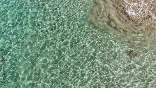 Stingray