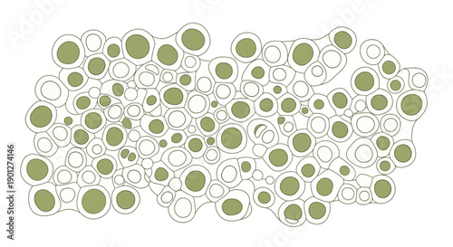 Abstract Biological Cell Structure Pattern. Minimalist Green Interconnected Organic Shapes Illustration for Science Backgrounds.