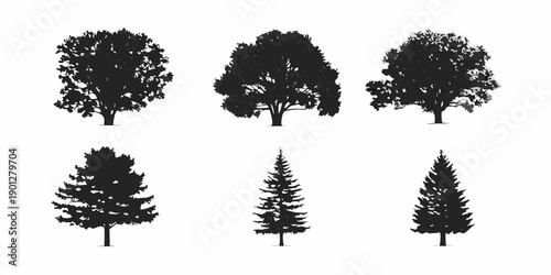 Black silhouette illustrations of diverse tree types and coniferous shapes