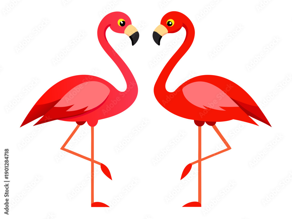 Obraz premium flamingo on white