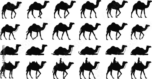 WebLarge Collection of Camel Silhouettes Featuring Dromedary Animals Walking Sitting and Riding with Bedouin Nomads Isolated on White Background for Desert Safari Travel Design