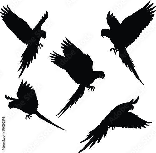 Set of Five Detailed Black Parrot Silhouettes in Flight for Tropical Wildlife Nature Conservation Exotic Bird Watching and Summer Travel Graphic Design Projects