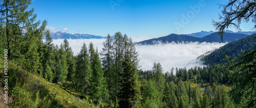 Scenic Mountain Views on Reiteralm, Austrian Alps – Peaceful Summer Landscape with Copy Space