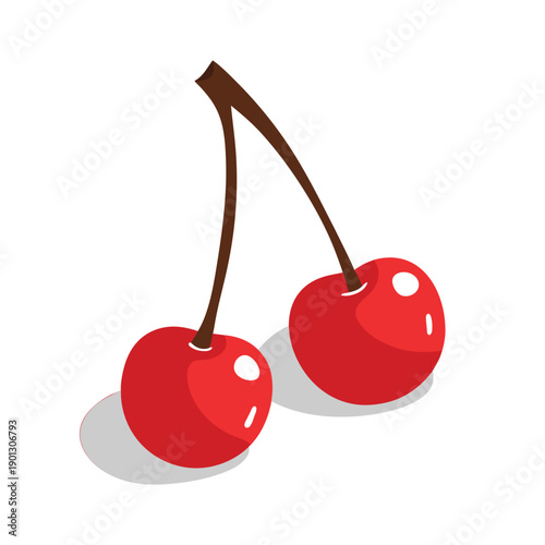 Vector illustration of two juicy red cherries