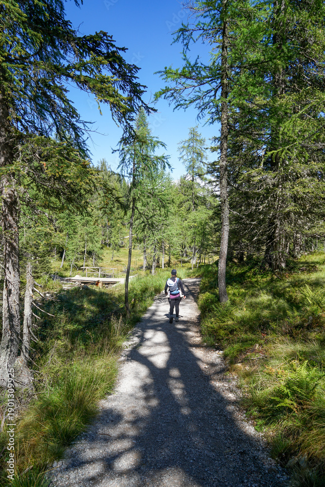 Obraz premium Young Mother Hiking with Child in Backpack Carrier on Reiteralm, Austria – Family Outdoor Adventure