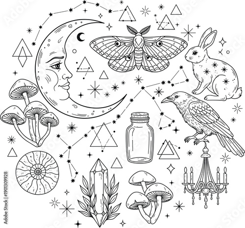 Black and White Mystical Line Art Set with Celestial Moon Face Butterfly Crow and Magic Symbols for Esoteric Witchy Design and Spiritual Coloring Page