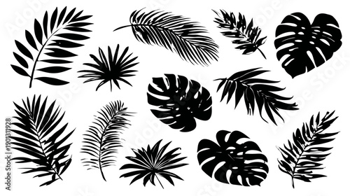 Black Silhouettes of Tropical Leaves Set. Exotic Foliage Collection with Palm Fronds and Monstera Leaf Shapes for Design.