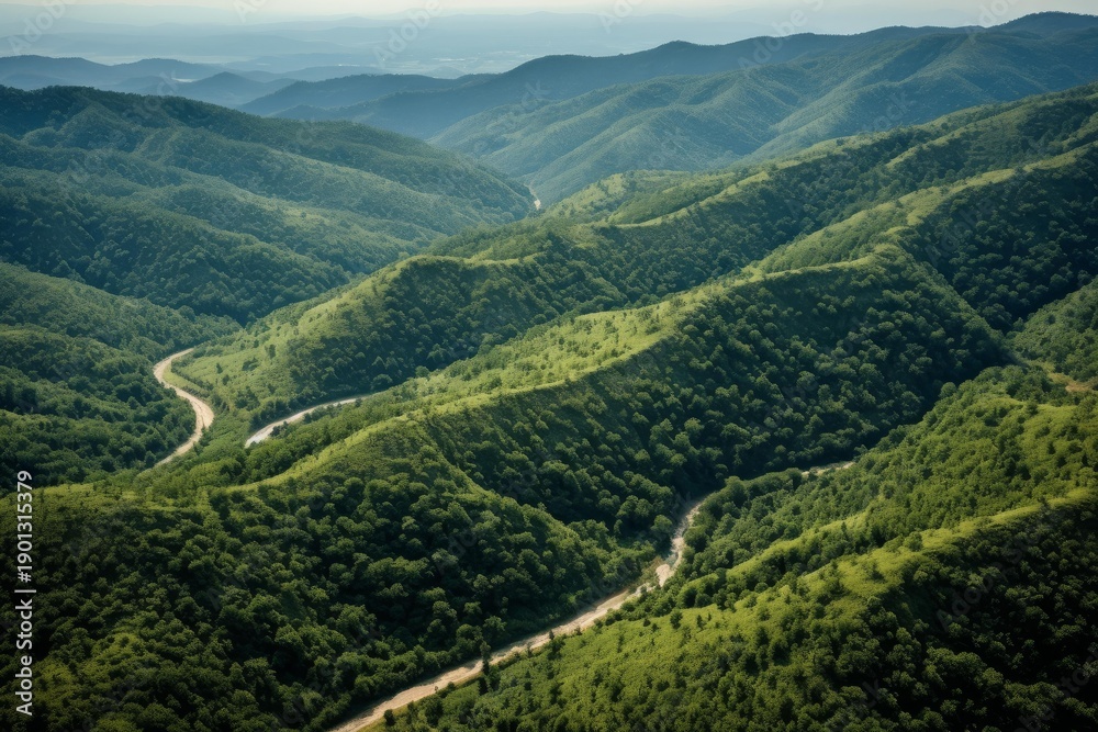 Obraz premium Green mountains and hills with a winding river valley creating serene nature scenery