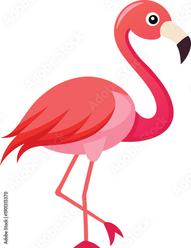 Flamingo vector illustration isolated on transparent background