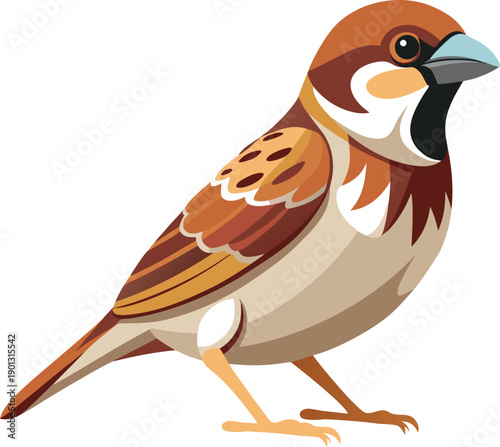 Vector illustration of a sparrow isolated on transparent background