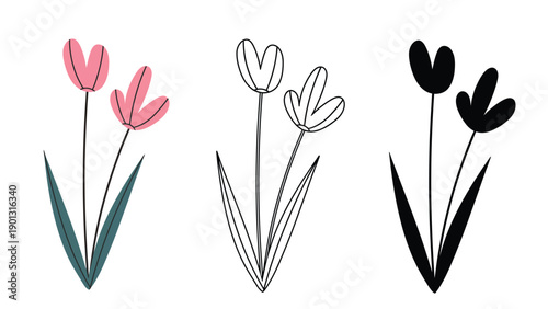 Colorful tulip flowers in different styles and colors on white background