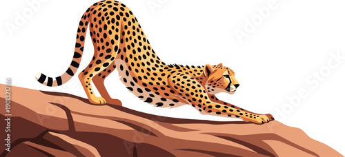 Cheetah stretching its body on a desert rock formation