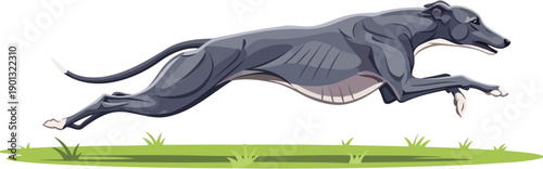 Sleek greyhound dog running at full speed across grass