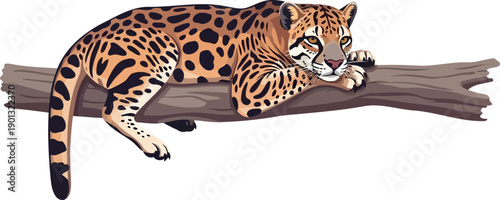 Spotted ocelot wild cat resting on a thick tree branch