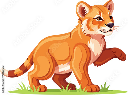 Young tiger cub walking playfully on a small patch of green grass