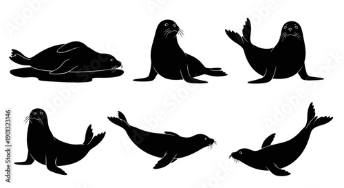 Vector silhouette illustration of seals (anjing laut) in various poses, including lying on shore, sitting upright, swimming, and diving.