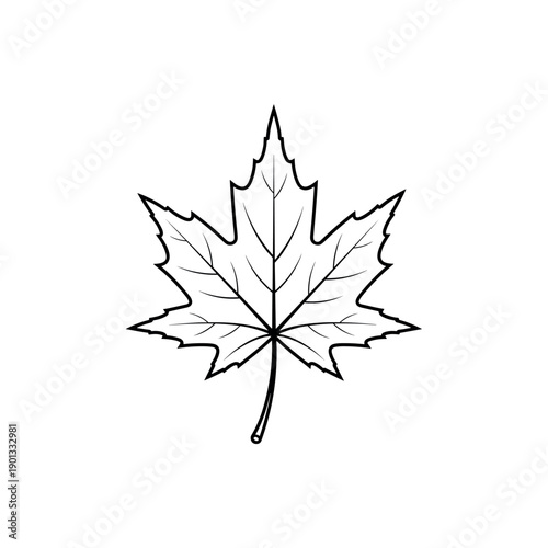 Maple Leaf Black and White Floral Vector Illustration