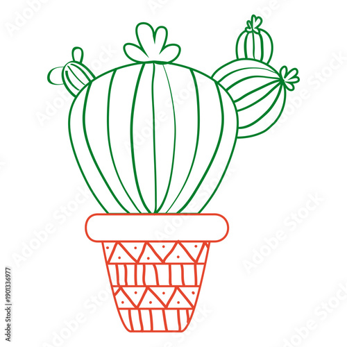 Hand drawn cactus in green and red