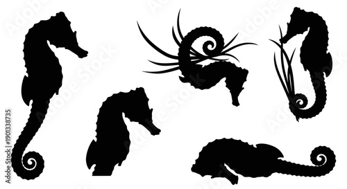 Vector silhouette illustrations of seahorses in various poses, including swimming upright, curled tail gripping seaweed, side view, and resting.