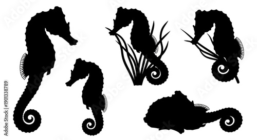 Vector silhouette illustrations of seahorses in various poses, including swimming upright, curled tail gripping seaweed, side view, and resting.