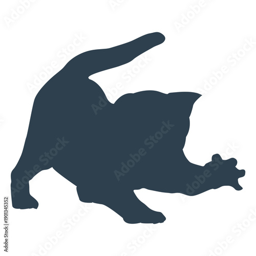 Cat catching silhouette
