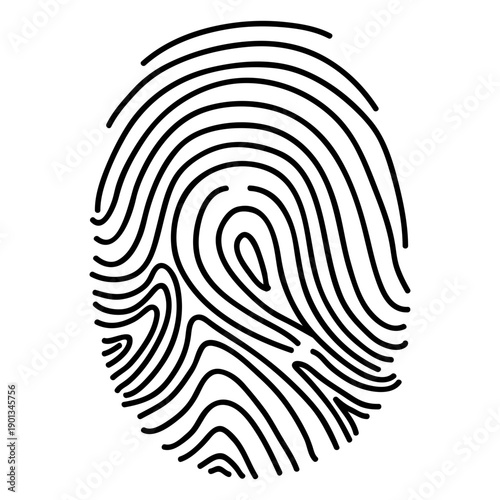 Lined human fingerprint