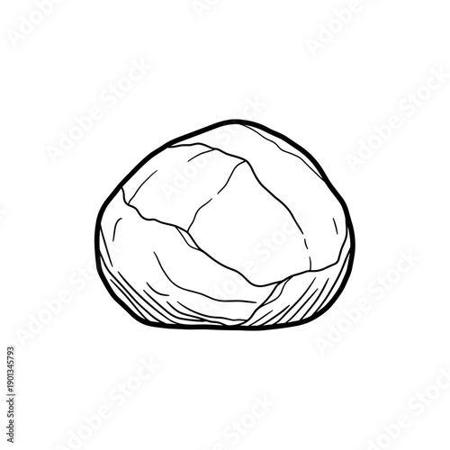 Fresh green cabbage isolated on white background healthy organic vegetable closeup