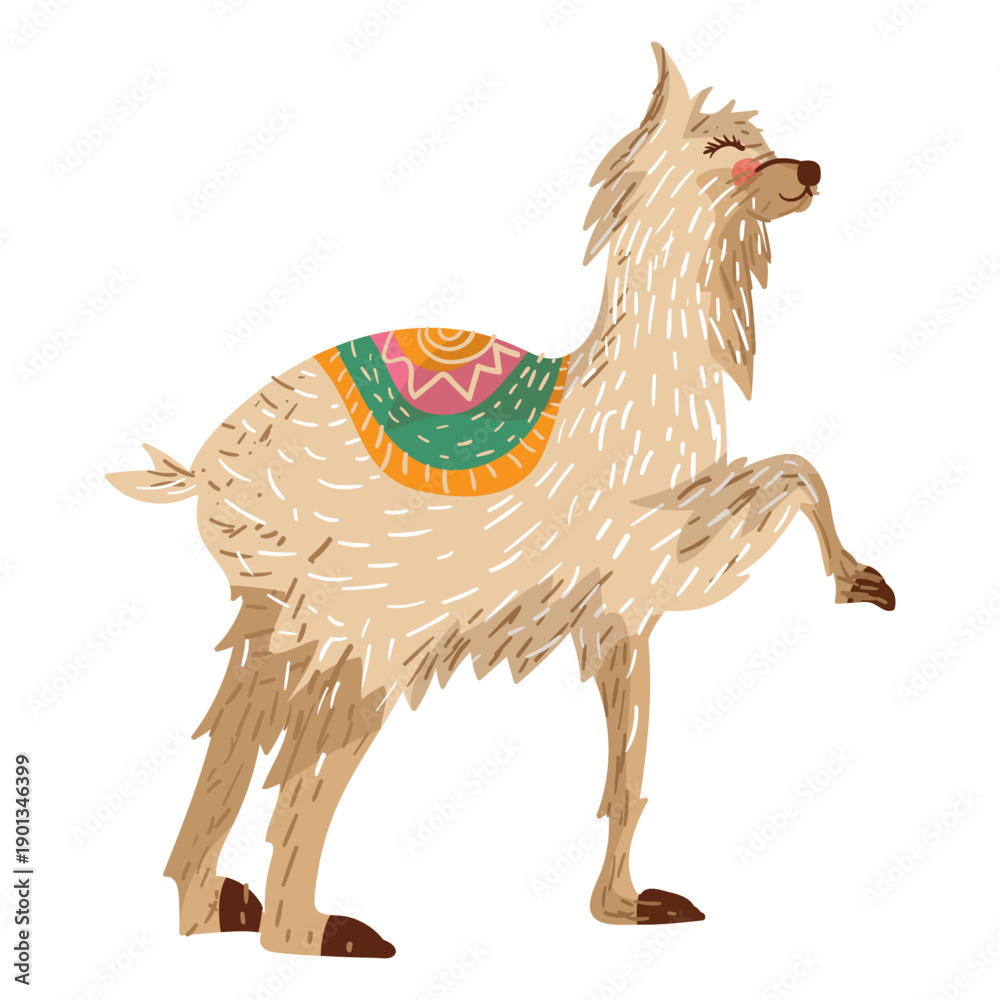 Fototapeta premium Llama animal illustration