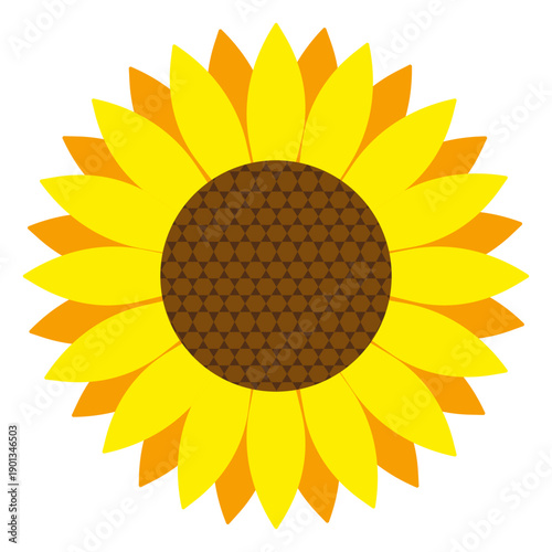 Sunflower head vector
