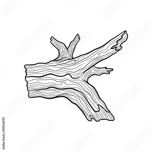 Reindeer horns isolated on a white background