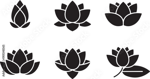 Six distinct black and white lotus flower designs arranged in two rows