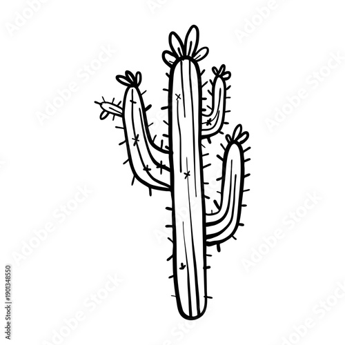 Cactus flower thorn sketch